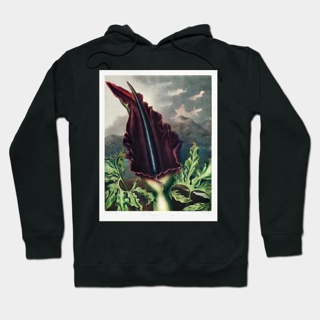 The Dragon Arum Hoodie by Cleopsys